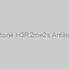 Histone H3R2me2s Antibody